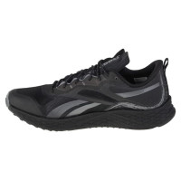 Reebok Floatride Energy 3 Adventure M G58173 running shoes (41)