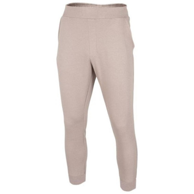 4F Pants 4F M H4Z22 SPMD015 83S (2XL)