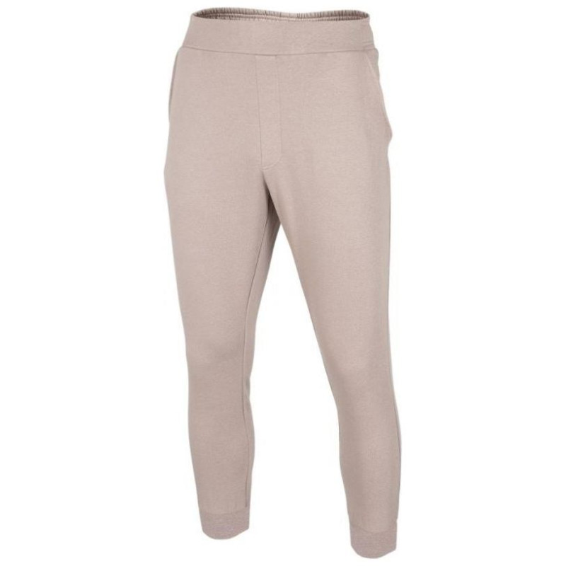 4F Pants 4F M H4Z22 SPMD015 83S (2XL)