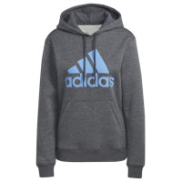 Adidas Sweatshirt adidas Big Logo FL R HD W IC9845 (XS)