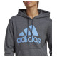 Adidas Sweatshirt adidas Big Logo FL R HD W IC9845 (XS)