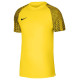 Adidas Nike Df Academy Jsy SS Jr T-shirt DH8369 719 (S)