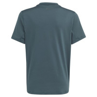 Adidas T-shirt adidas TI Tee Jr IJ6416 (140 cm)