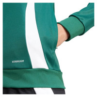 Adidas Tiro 24 Training W sweatshirt IR9499 (M)