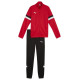 Puma Team Rise Jr Tracksuit 658655 01 (140cm)