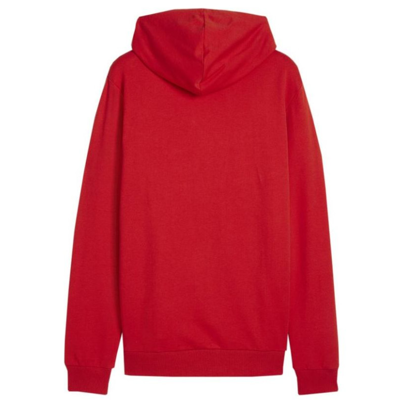 Puma Team Goal Casuals Hoody M 658618 01 (S)