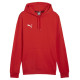 Puma Team Goal Casuals Hoody M 658618 01 (S)