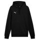 Puma Team Goal Casuals Hoody M 658618 03 (M)