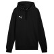Puma Team Goal Casuals Hoody M 658618 03 (2XL)
