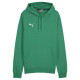 Puma Team Goal Casuals Hoody M 658618 05 (S)