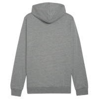 Puma Team Goal Casuals Hoody M 658618 33 (M)