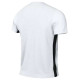 Nike Dri-FIT Challenge Jersey V FD7412-100 (S)