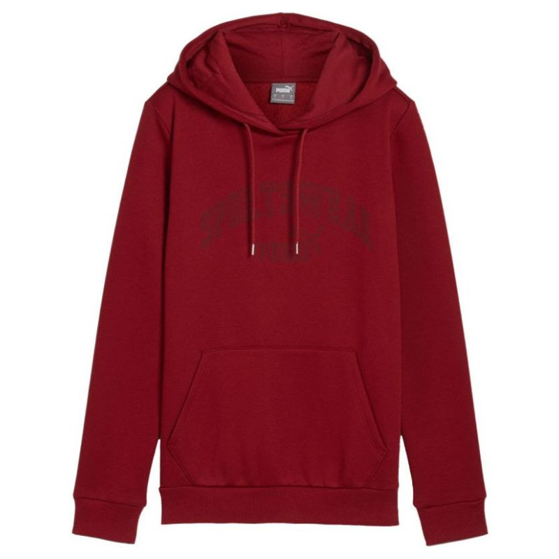 Puma Ess+ Logo LAB Hoodie FL W 682987 13 (M)