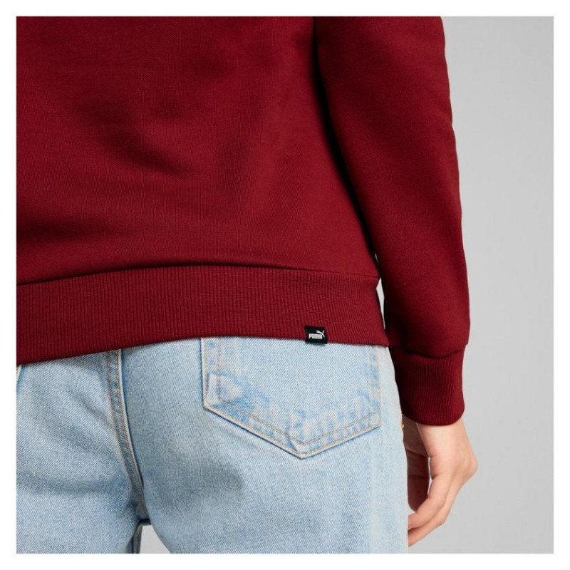 Puma Ess+ Logo LAB Hoodie FL W 682987 13 (M)