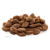 Brit PREMIUM By Natur Light 15 kg barība suņiem