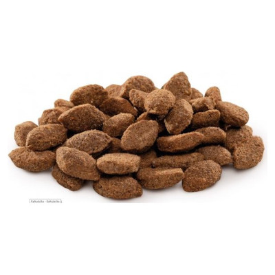 Brit PREMIUM By Natur Light 15 kg barība suņiem