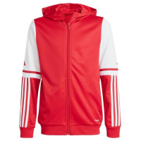 Adidas Squadra 25 Hoodie Jr JD4801 sweatshirt (128 cm)