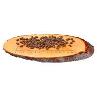 Carnilove Salmon Adult Cat Sensitive & Long Hair 0,4 kg barība kaķiem