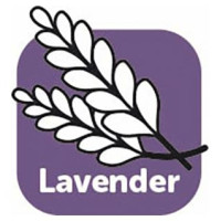 Flamingo šampūns LAVENDER SHAMPOO 300 ml