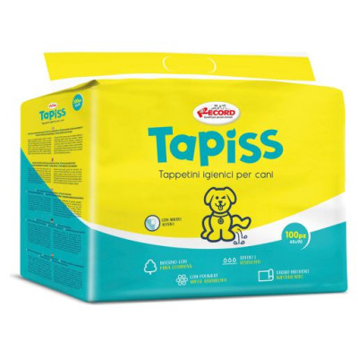 Record Paladziņ&scaron; RECORD 60x90cm 100gb.