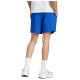 Adidas Essentials Small Logo Chelsea Shorts M JF1116 (M)