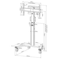 Neomounts MONITOR ACC FLOOR STAND 37-75"/FL50S-825WH1 NEOMOUNTS
