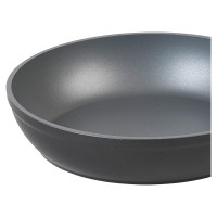 Russell Hobbs RH01697EU Pearlised frypan 20cm