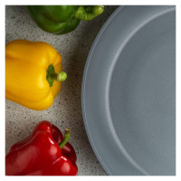 Russell Hobbs RH01697EU Pearlised frypan 20cm