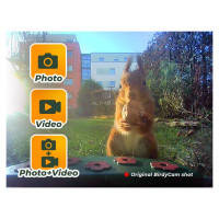 Easypix BirdyCam