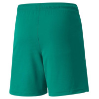 Puma teamLIGA Shorts Jr 704931 05 (164 cm)