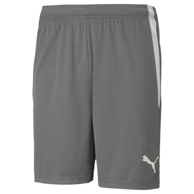 Puma teamLIGA M 704924 13 shorts (2 XL)