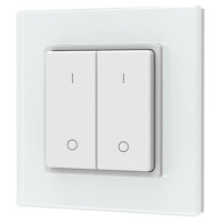 Skydance PF1-2(G) RF Remote Control, Single Color, 2 Zones