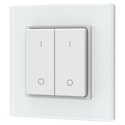 Skydance PF1-2(G) RF Remote Control, Single Color, 2 Zones