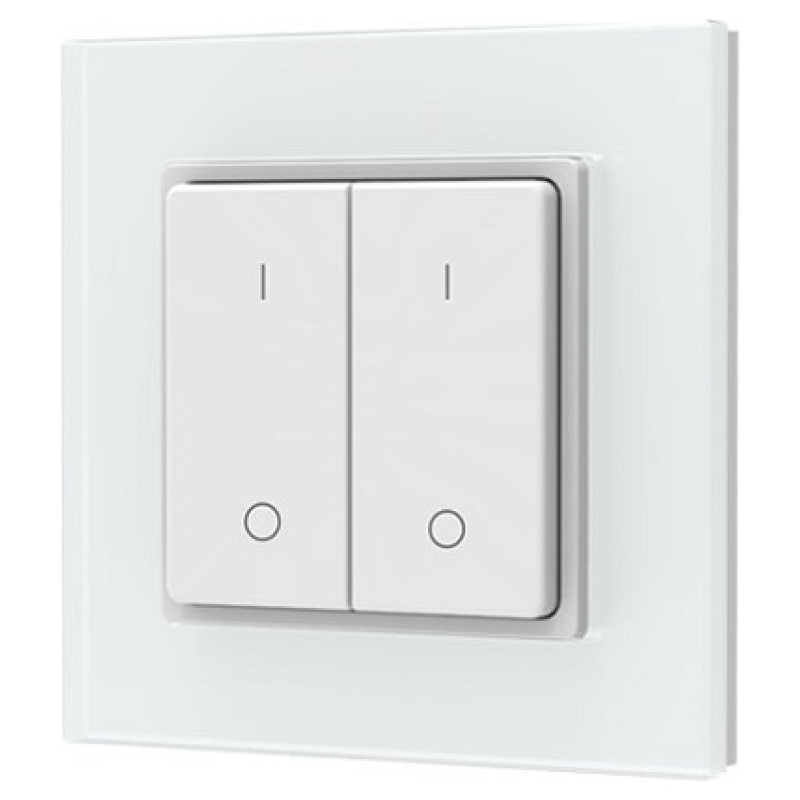 Skydance PF1-2(G) RF Remote Control, Single Color, 2 Zones