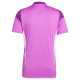 Adidas Tiro 25 Competition Jersey Short Sleeve M JI9719 (L)