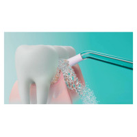 Philips ELECTRIC FLOSSER/HX3826/31 PHILIPS