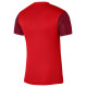 Nike Df Trophy V JSY SS T-Shirt DR0942 657 (XS)