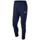 Nike Dry Park 20 Jr BV6902-451 pants (XL)