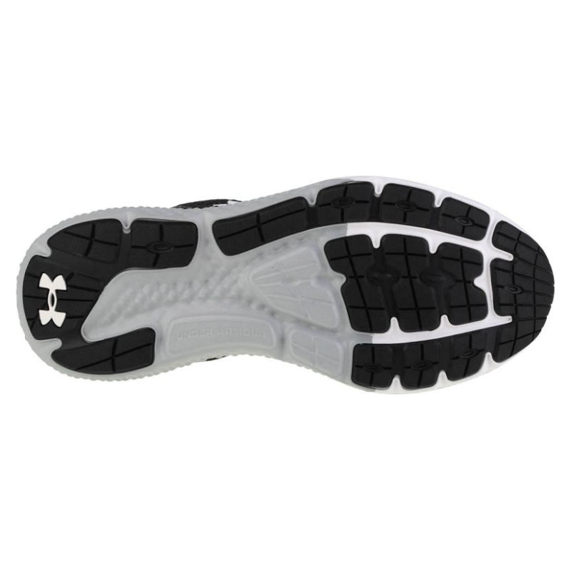 Under Armour Under Armor Charged Rogue 3 M shoes 3024877-002 (45)