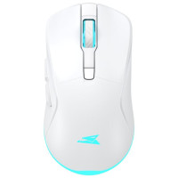 Baracuda BGM-122 Turtle White