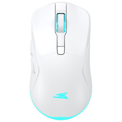 Baracuda BGM-122 Turtle White