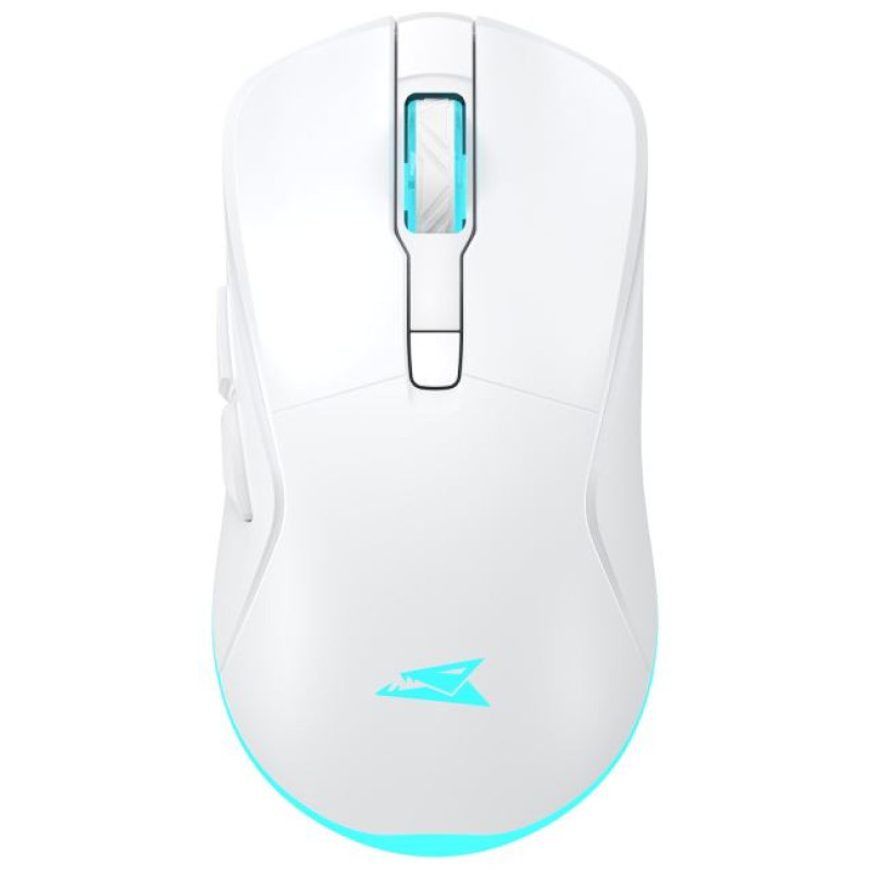 Baracuda BGM-122 Turtle White