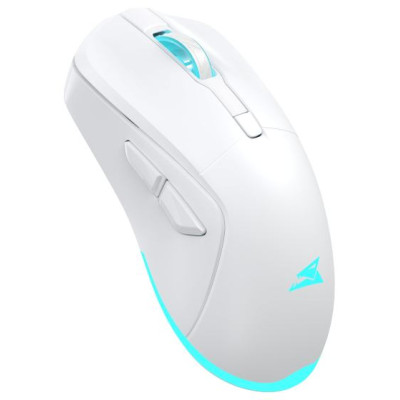 Baracuda BGM-122 Turtle White