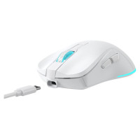 Baracuda BGM-122 Turtle White