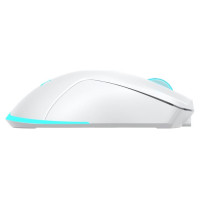 Baracuda BGM-122 Turtle White