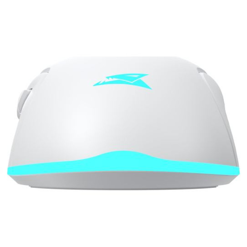 Baracuda BGM-122 Turtle White