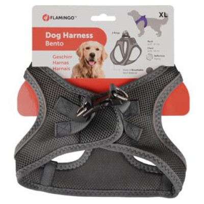 Flamingo kru&scaron;u siksna suņiem BENTO GREY XL 49-54CM