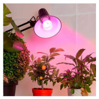 Visional Light Bulb|VISIONAL|Power consumption 8 Watts|Beam angle 360 degrees|04-219