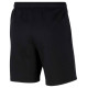 Nike Park 20 Short M CW6910-010 (L)