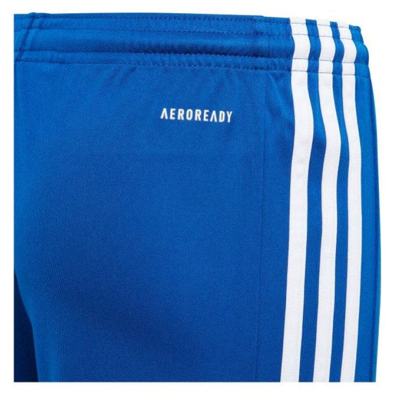 Adidas Squadra 21 Jr GK9156 shorts (164 cm)